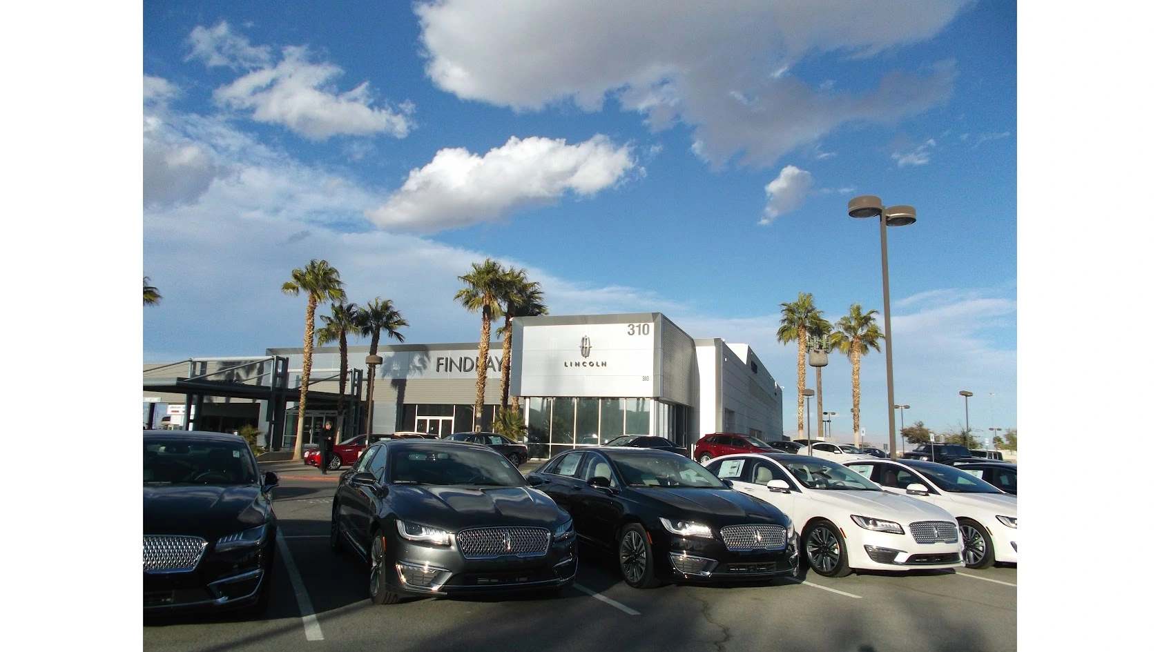 Karlmann King Front View - Desert Scene
